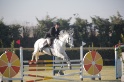 01 - BERGONZINI